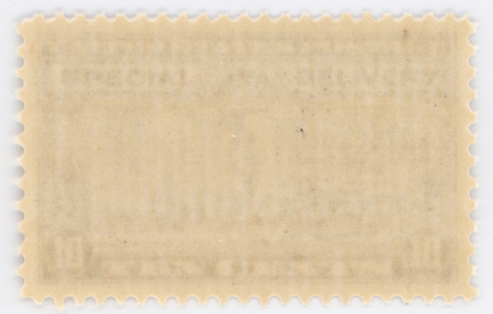 US #E15 | Mint NH | Extra Fine