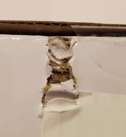 Transformers Jr. Lighted Microscope 8X Magnification - READ