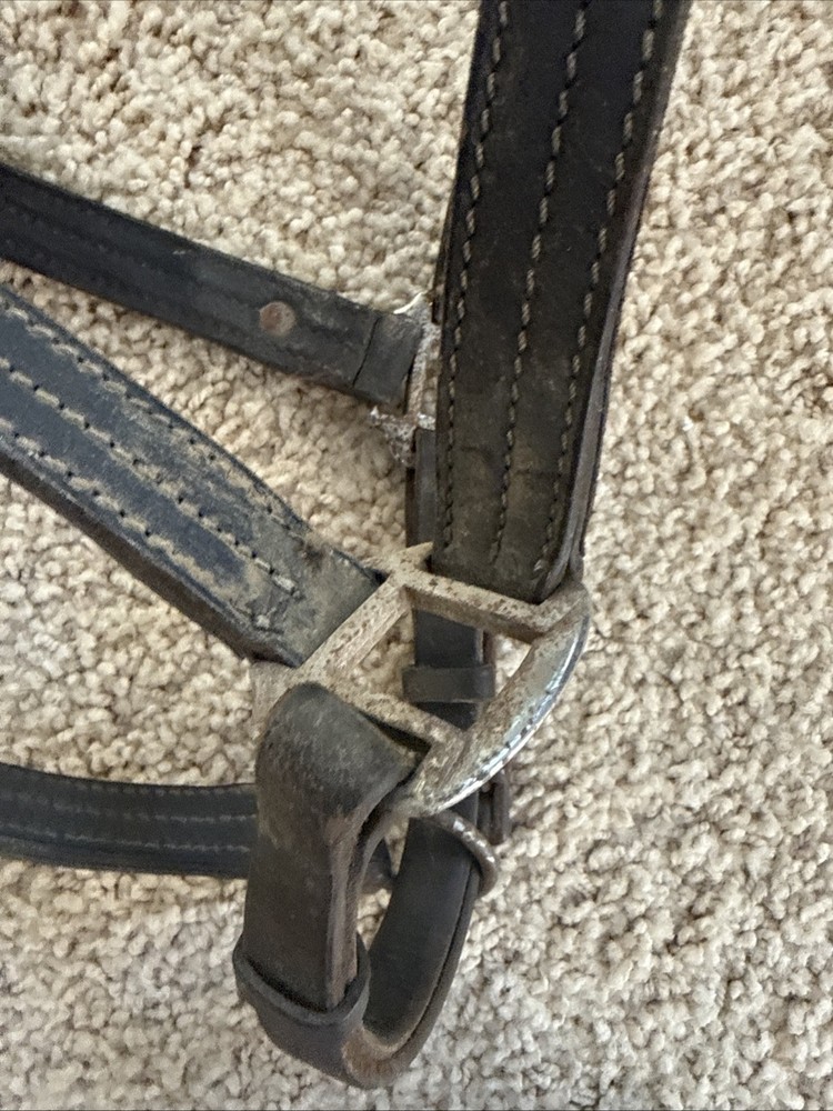 BROKEN Leathed Horse Size Halter - Use For Hardware