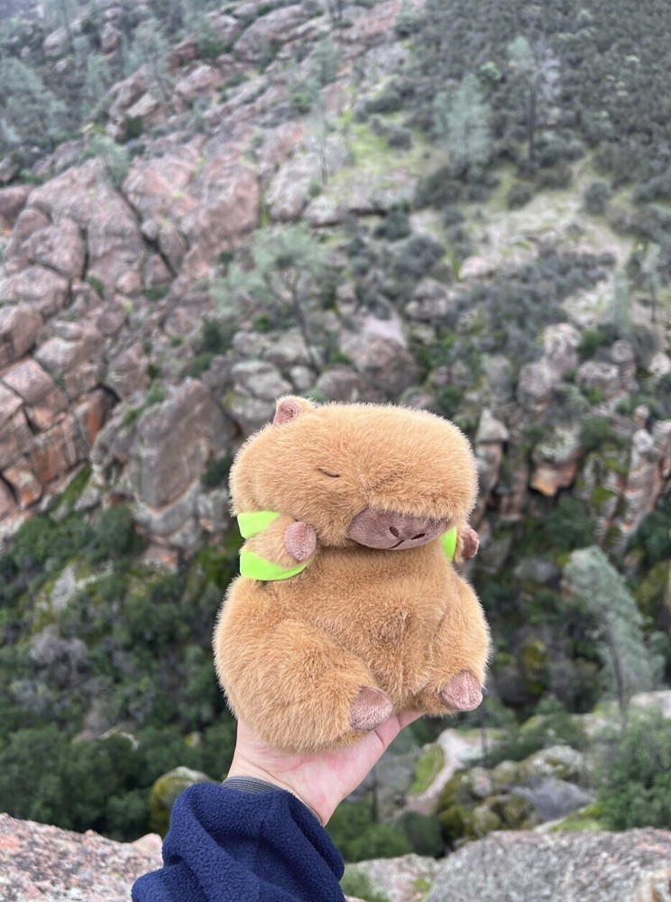 Capybara Chalk Bag