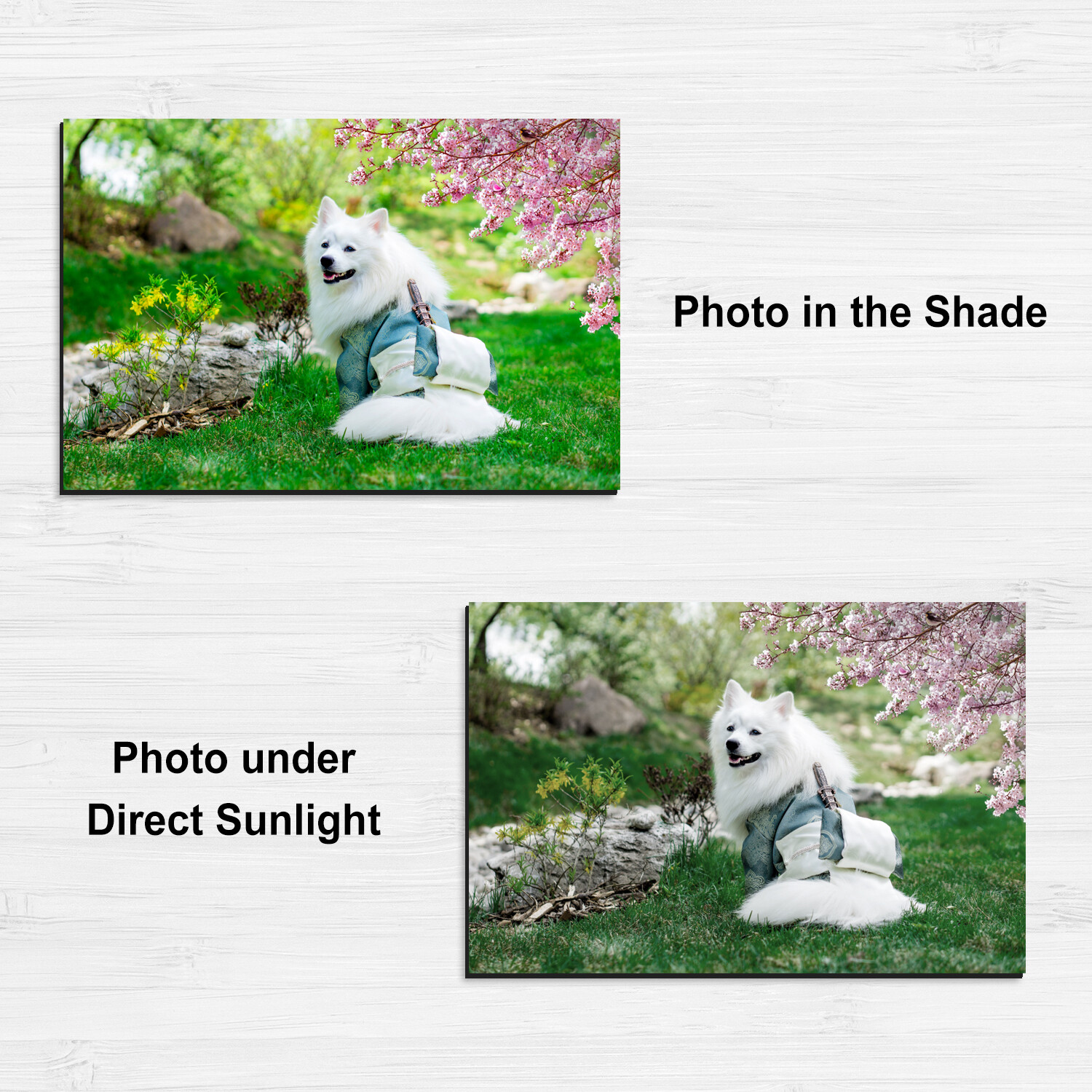 Printable Magnet Sheets Magnetic Photo Paper 8.5x11 Matte Inkjet Laser Cricut