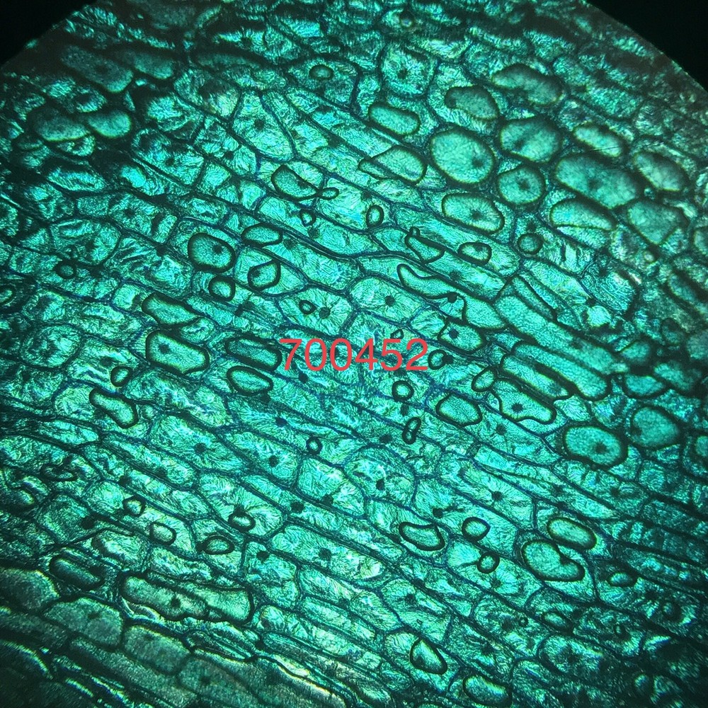 Olympus A 10 Microscope Objective Lens 0.25 160/0.17 CH