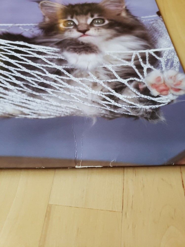 Mead Ron Kimball Cute Kitty Cat Folder