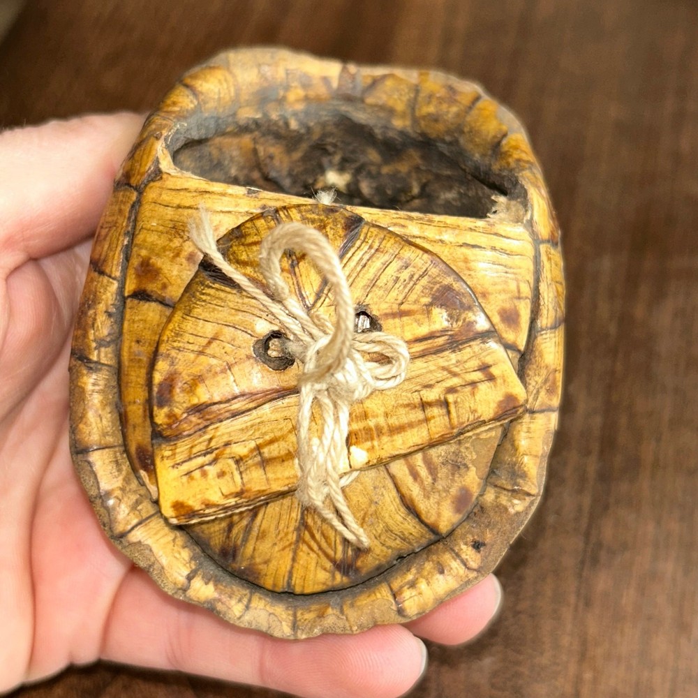 C. 1890 Southeastern Turtle Shell Pierced Rattle