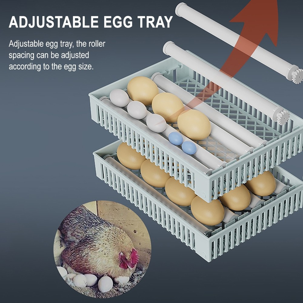 50W Fully Automatic Egg Incubator Egg Hatching Brooder Auto Hydration Flipping