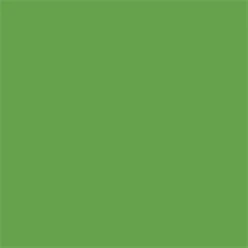 CustomSet Wasabi C Procion Reactive MX Dye Item 725