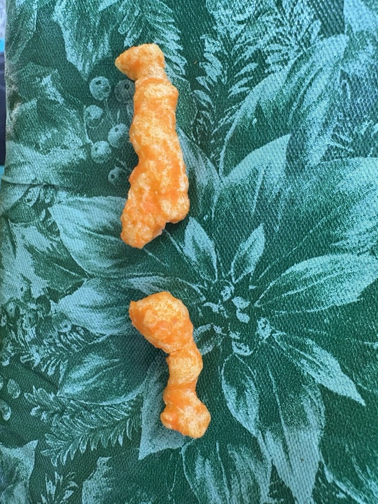 Cheeto Shaped Fish Two
