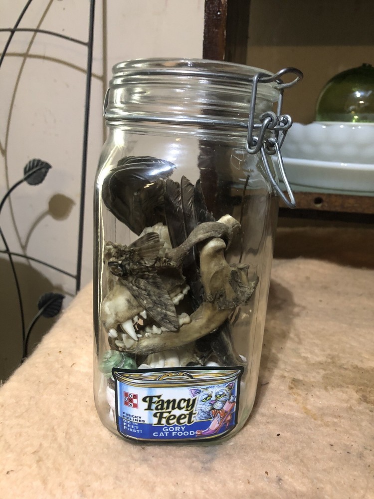 oddities weird stuff