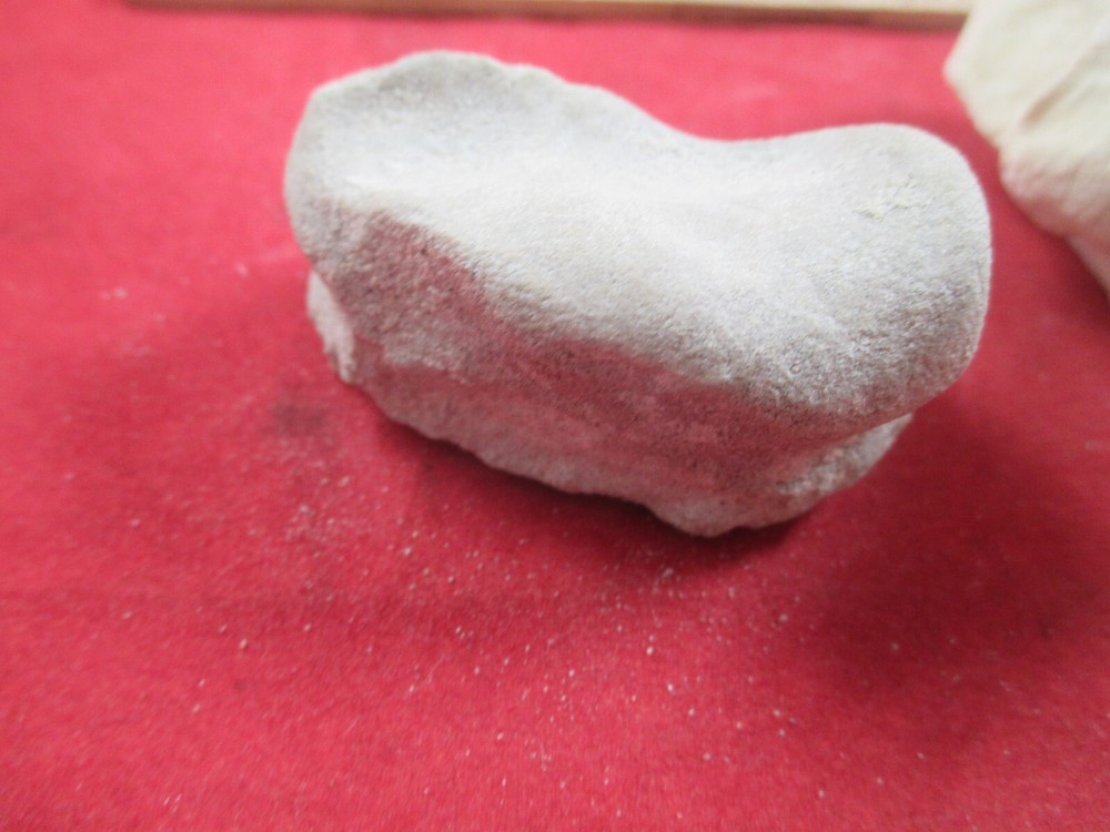 Nebraska Badlands Fossils Mixed Bones Hip Socket , and more