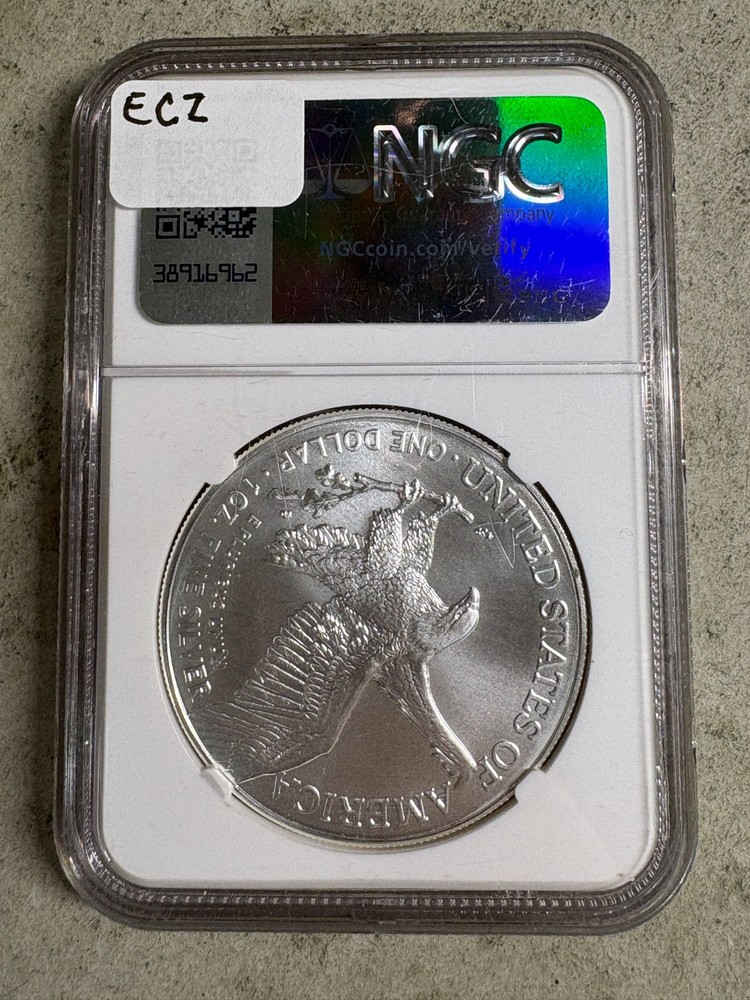 2025 Silver Eagle NGC MS70 "Red Book" Lable