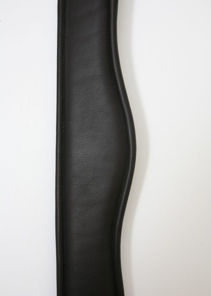 Albion GP/Jumping Long Girth Inv 6202A