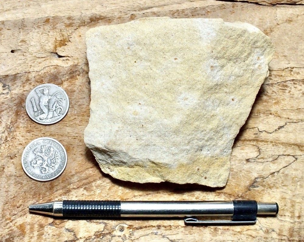 sandstone - arkosic fine grained Miocene sandstone - hand/display specimen