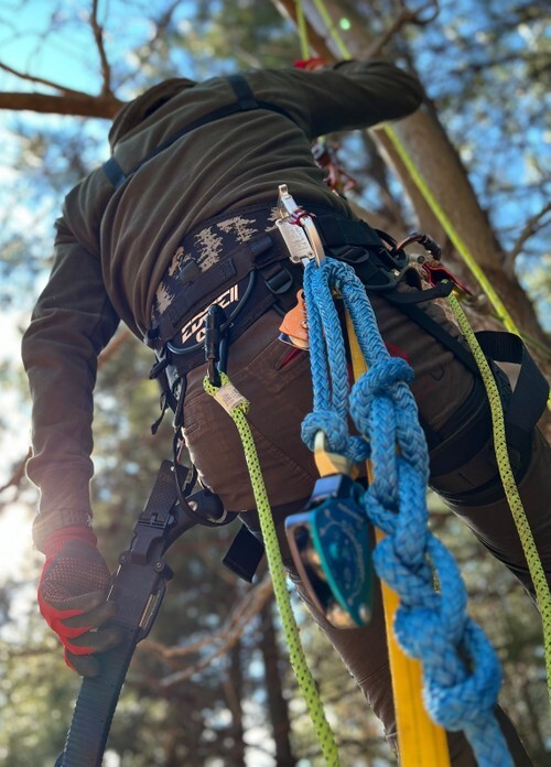 Rock Exotica Transporter XL Racking Harness Carabiner Tool Carrier C5-M-XL