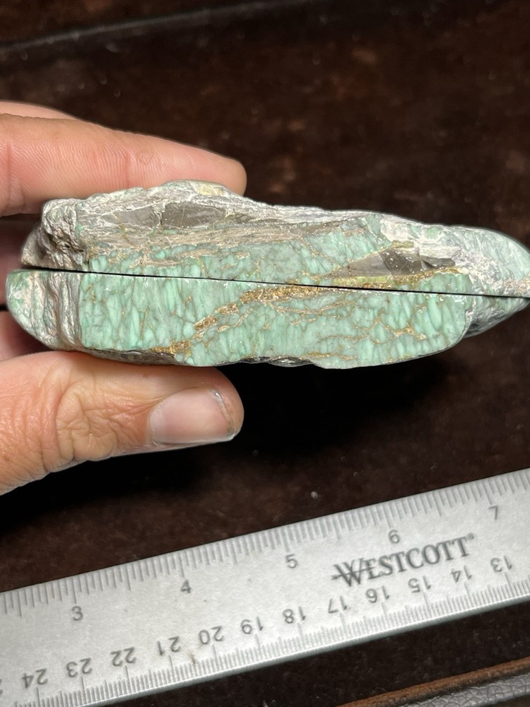 Broken Arrow Variscite 292g Clam Psuedomorph Split High Grade Webbing Nevada