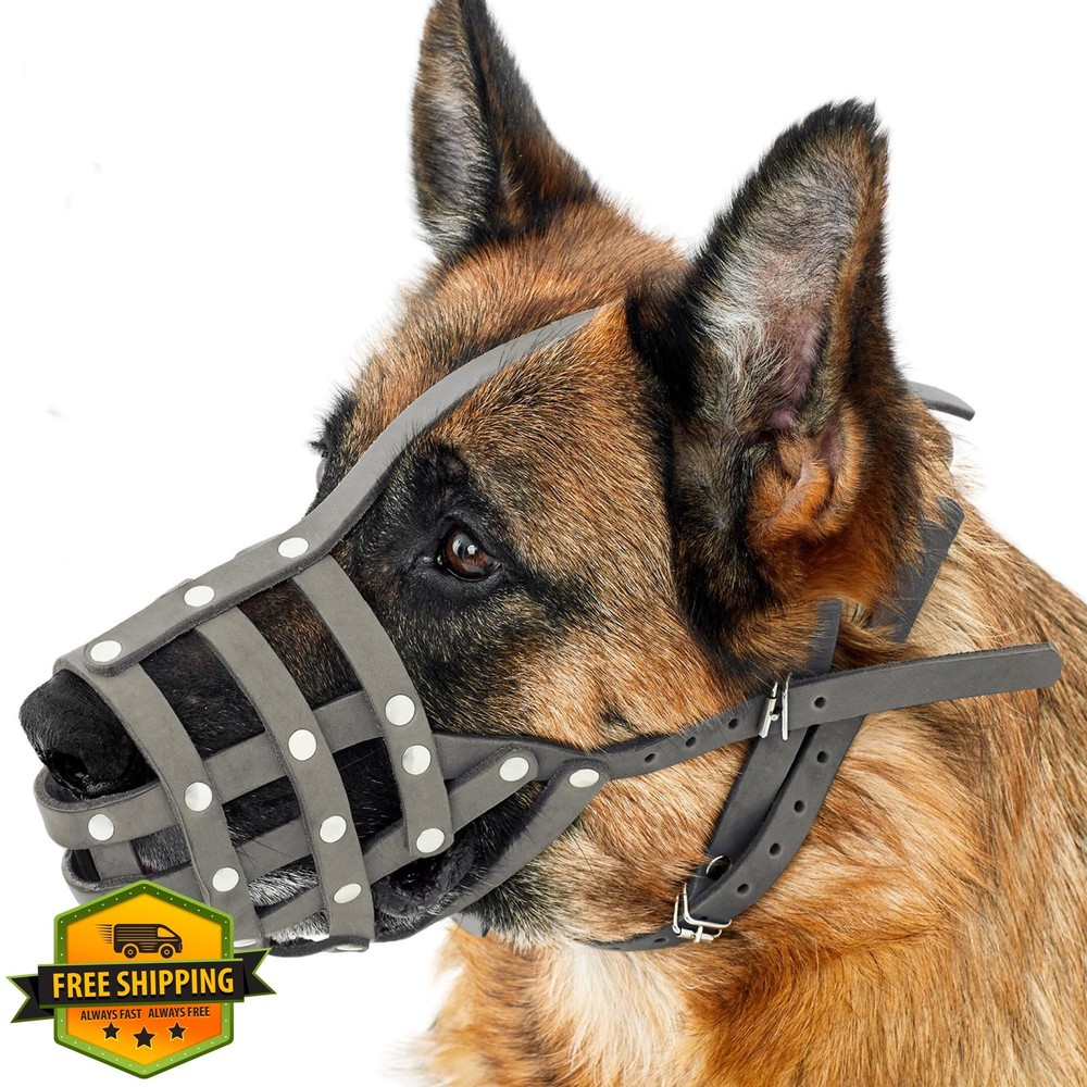 Leather Basket Dog Muzzle German Shepherd Dalmatian Setter L Black