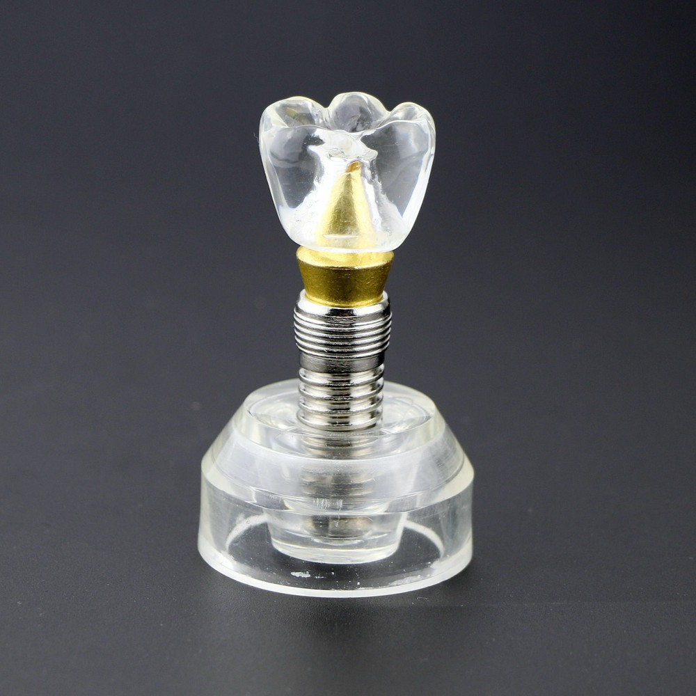 #2020 Dental Implant Model Demonstration Teeth Study Model Demonstrates Crown