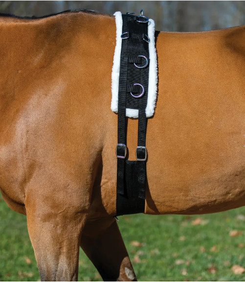 Fleece Lined Training Professional Surcingle for Horses