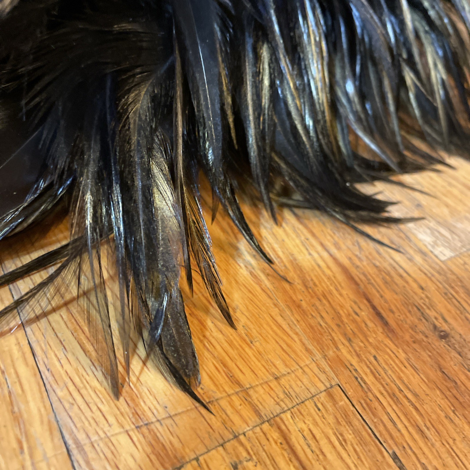 Lot of 2 Authentic Genuine Real Feather Boas Costume Accessory Runway Boa VTG