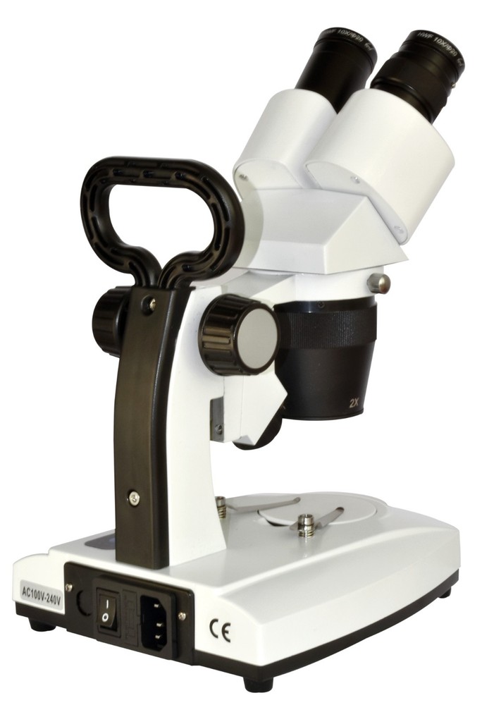 Binocular Stereo Microscope 20–80x with 2x–4x Objective Dual LED