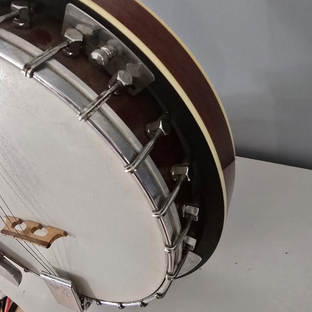 Davidson Banjo 4 String
