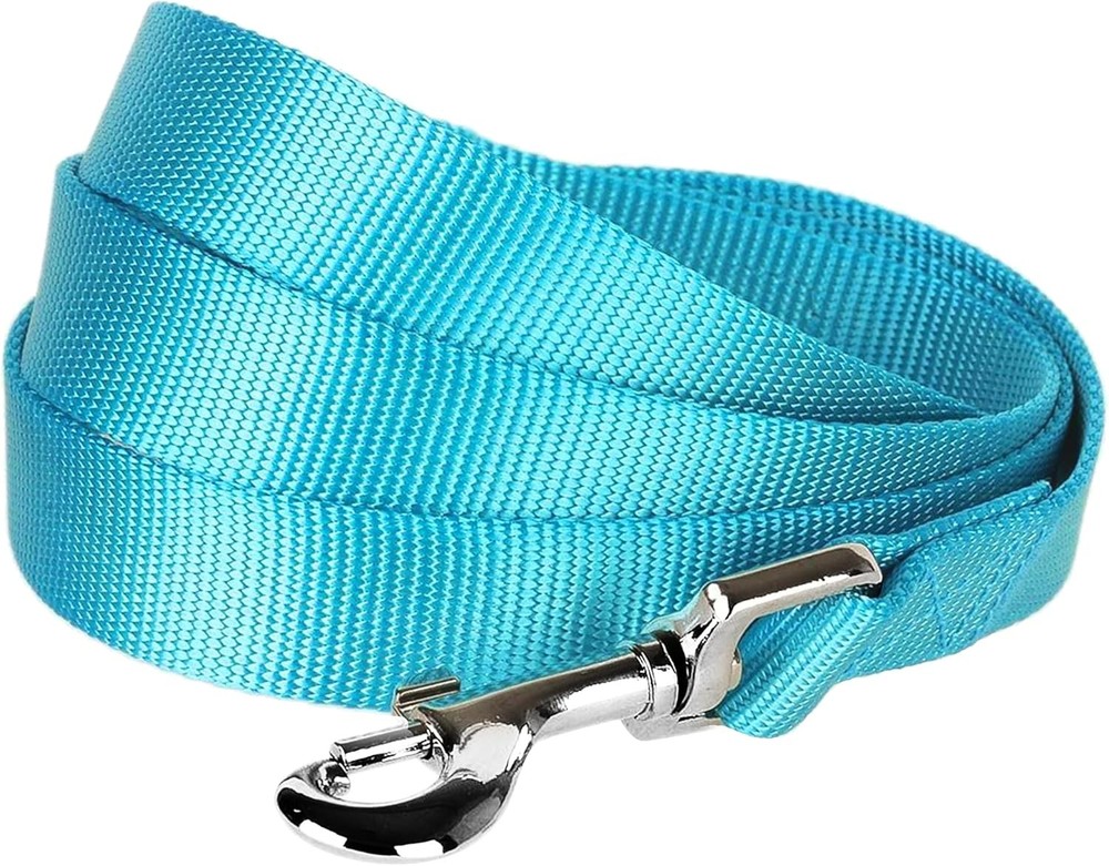 Dog Leash Essentials for Small Dogs