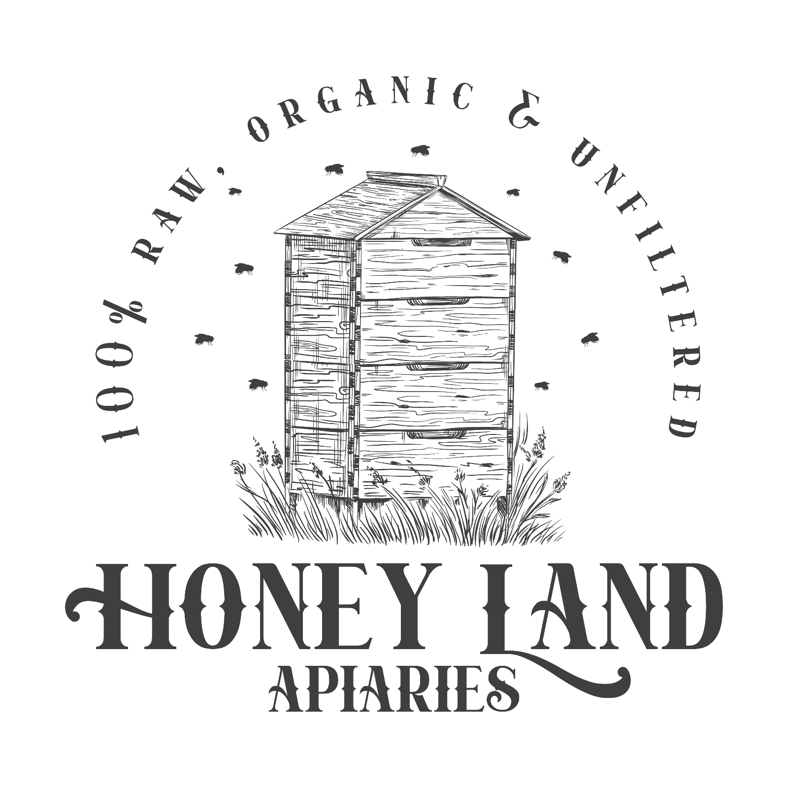 Honey and Prunes - 100% Raw, Wildflower, Local, Organic, Unfiltered