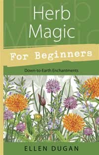 Herb Magic for Beginners by Ellen Dugan Book Herbal Folklore Wisdom Spellwork
