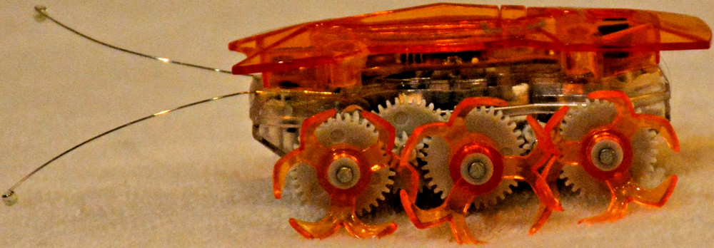 Hexbug Robotic Toys Micro Ant Spider Beetle Insect Creatures Remote Tech Scarab2