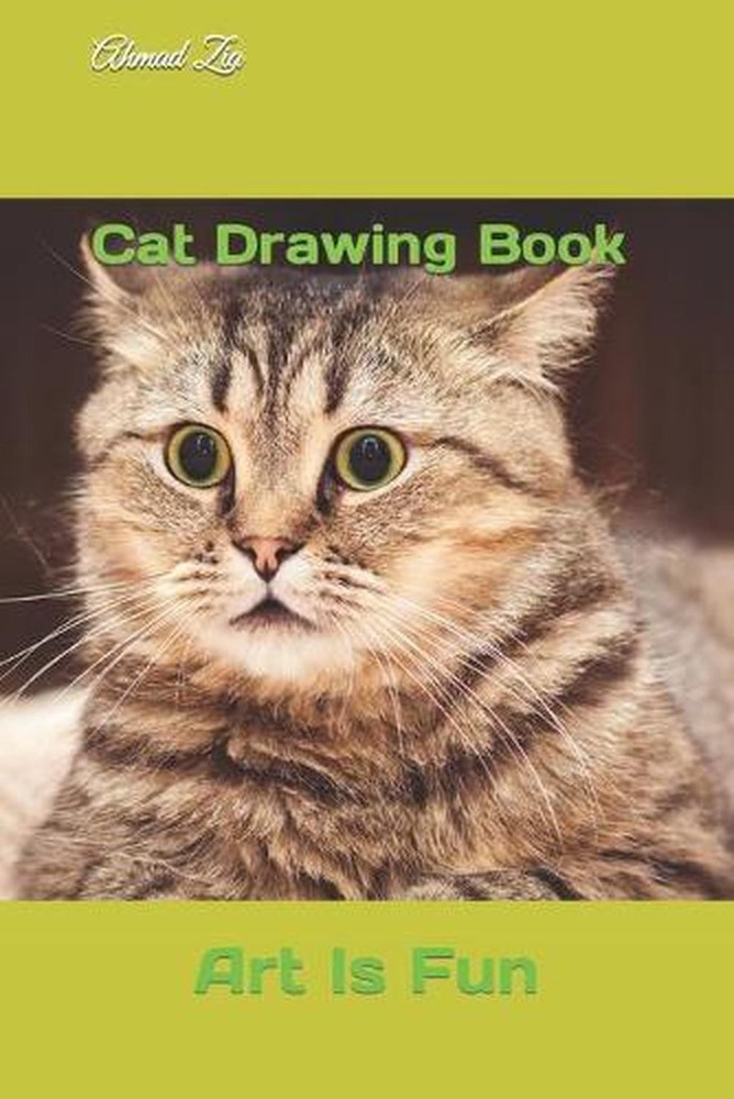 Cat Drawing Book