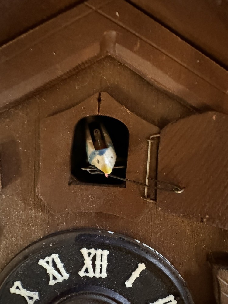 vintage coo coo clock germany