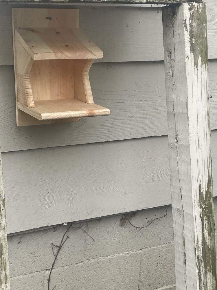 Pine Wood Robin Nesting Box~Dove Nesting Box~Cardinal Home~phoebe Nesting Box