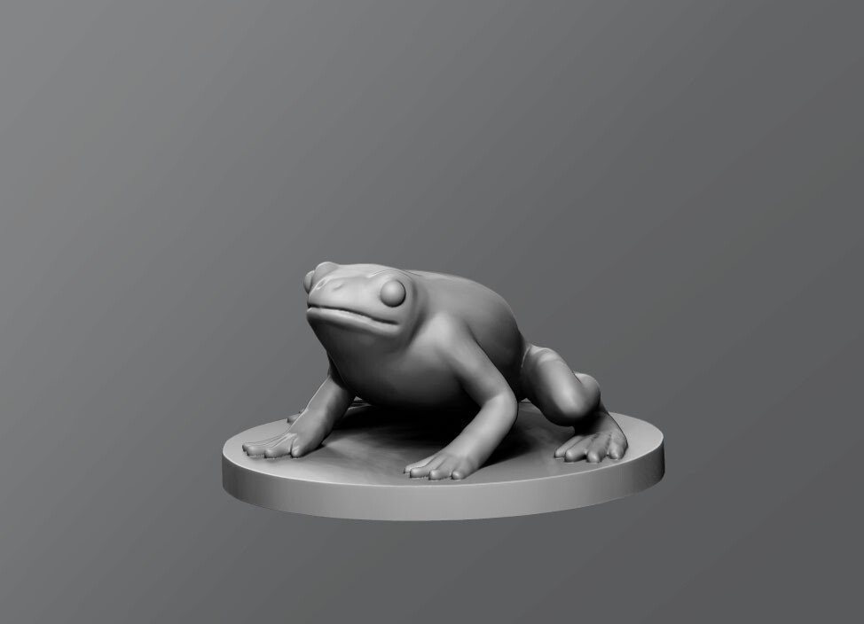 2pcs Frog Toad Monster Manual 28mm Scale DND D&D Miniature SB