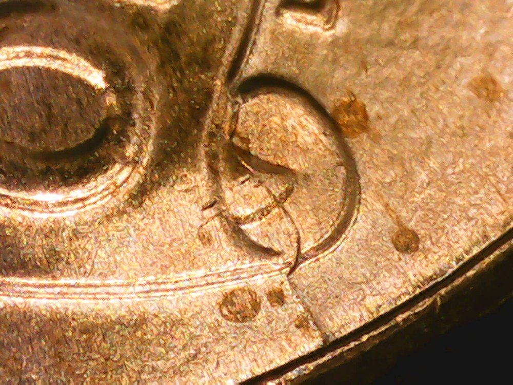 2023 Penny Die Crack Reverse
