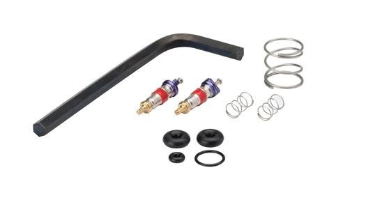 DCI Syringe Repair Kit, Valve Core, Quick Clean