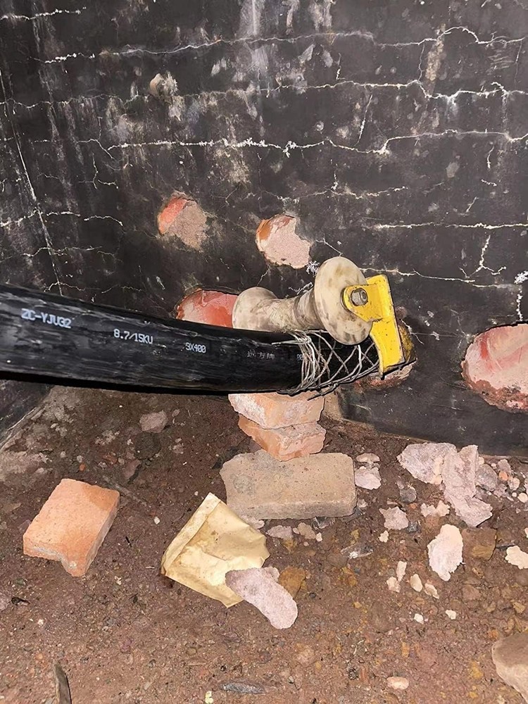 Wire & Cable Mesh Pulling Grip, Double Head Cable Pulls, Suitable for Light & He