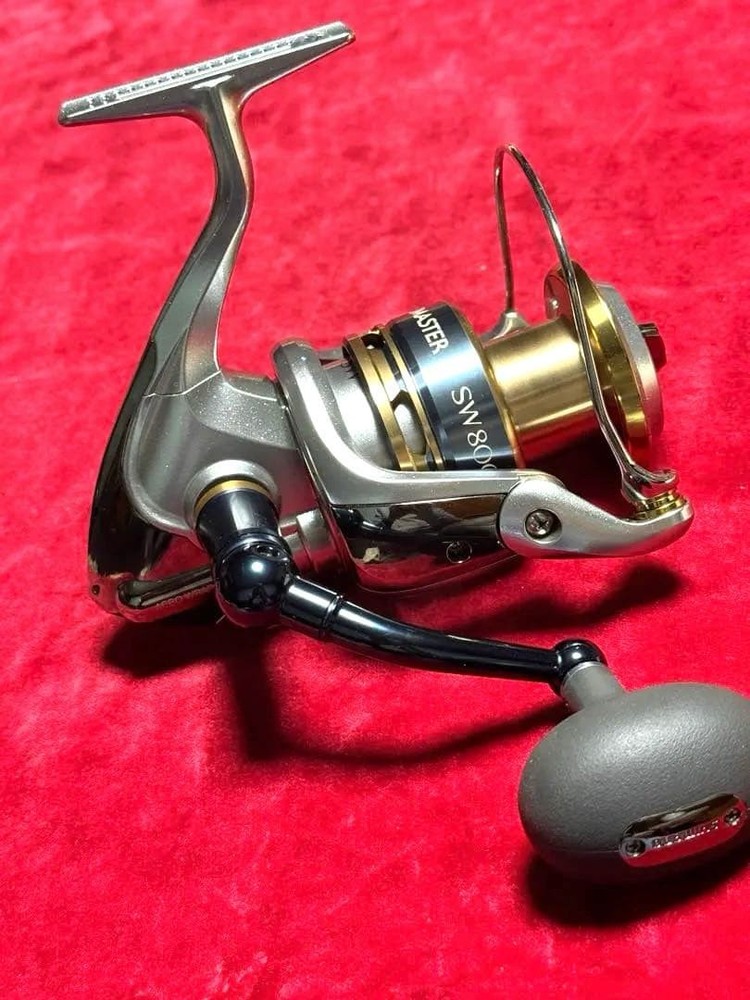 13 Biomaster SW 8000PG