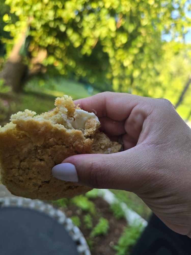 Dozen - White Chocolate Chip Oatmel Cookies
