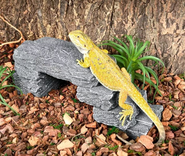 Reptile Hide Out 7 Pcs Stackable Stack Stone Look Resin