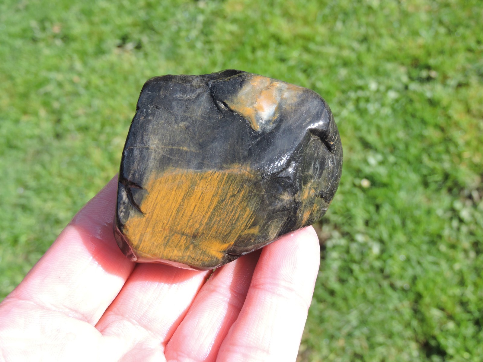 Lot of 🌈 Tumbler Size RAINBOW MIXED STONES from PNW (11.5 lbs) WEST COAST ROCKS