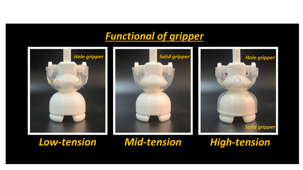 Foreskin restoration ETR(Elastic Tension Restorer) and Retainer