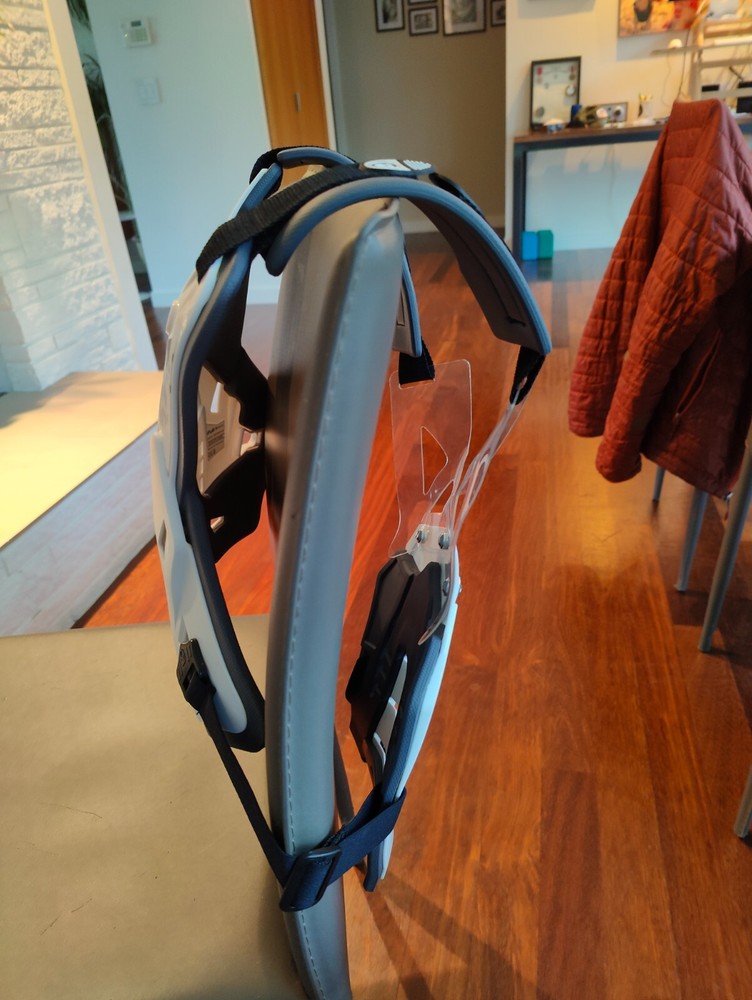 Atlas Defender Roost Guard