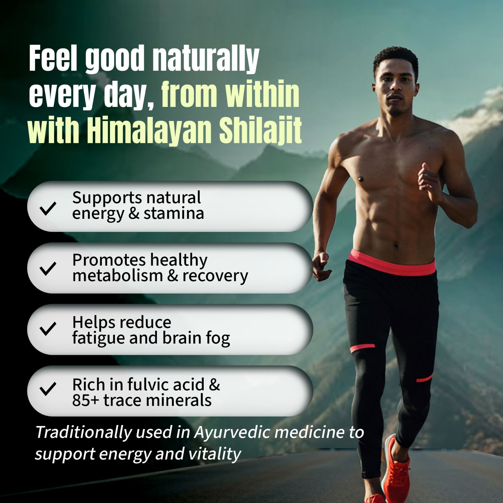 Himalayan Shilajit Caps – 150 Count – Herbal Support – Energy & Wellness