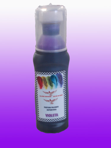 Sporting pigeons Paint - Violet