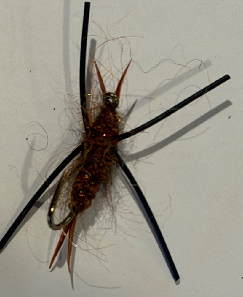 Kauffman Stonefly Brown Size #10