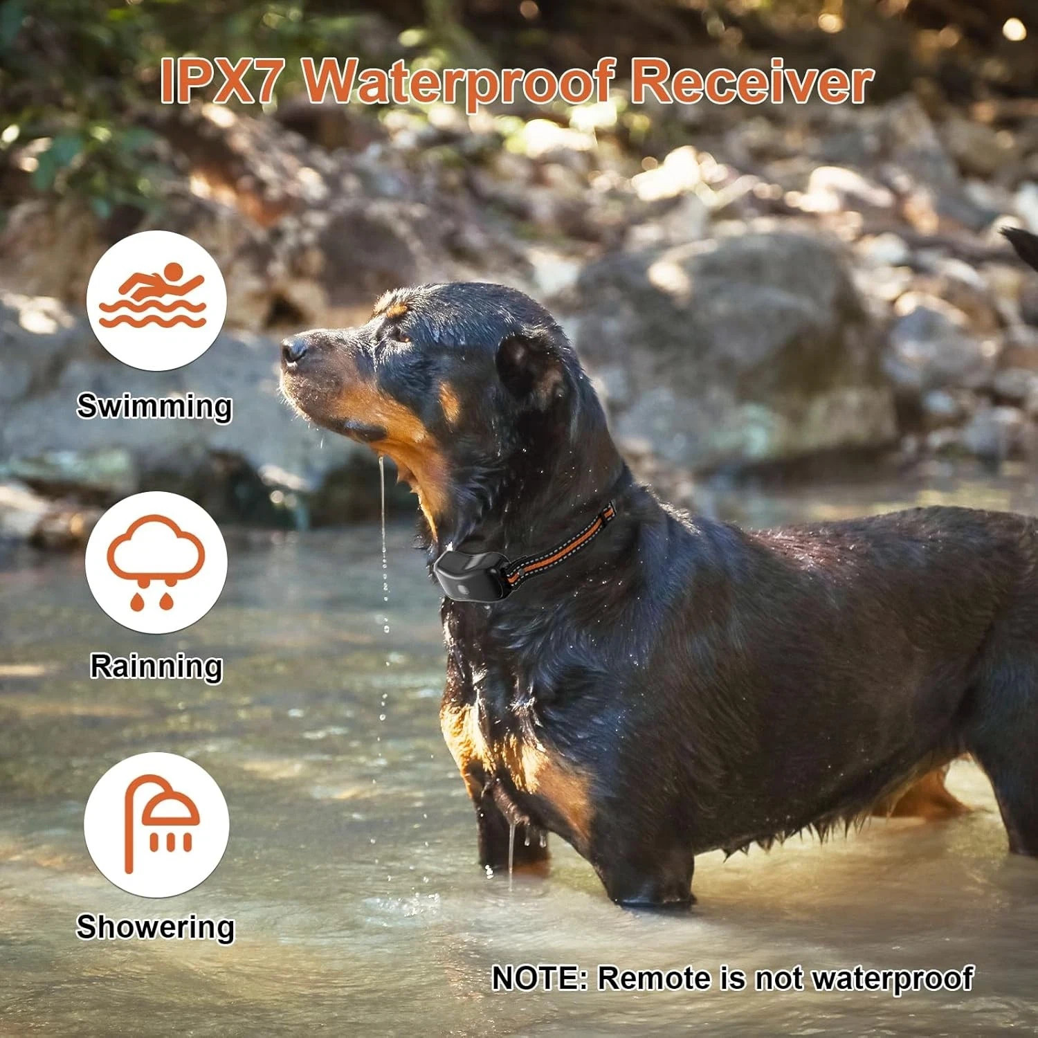 3300FT Shock Dog Training Collar For 2 Pet Rechargeable Remote Waterproof