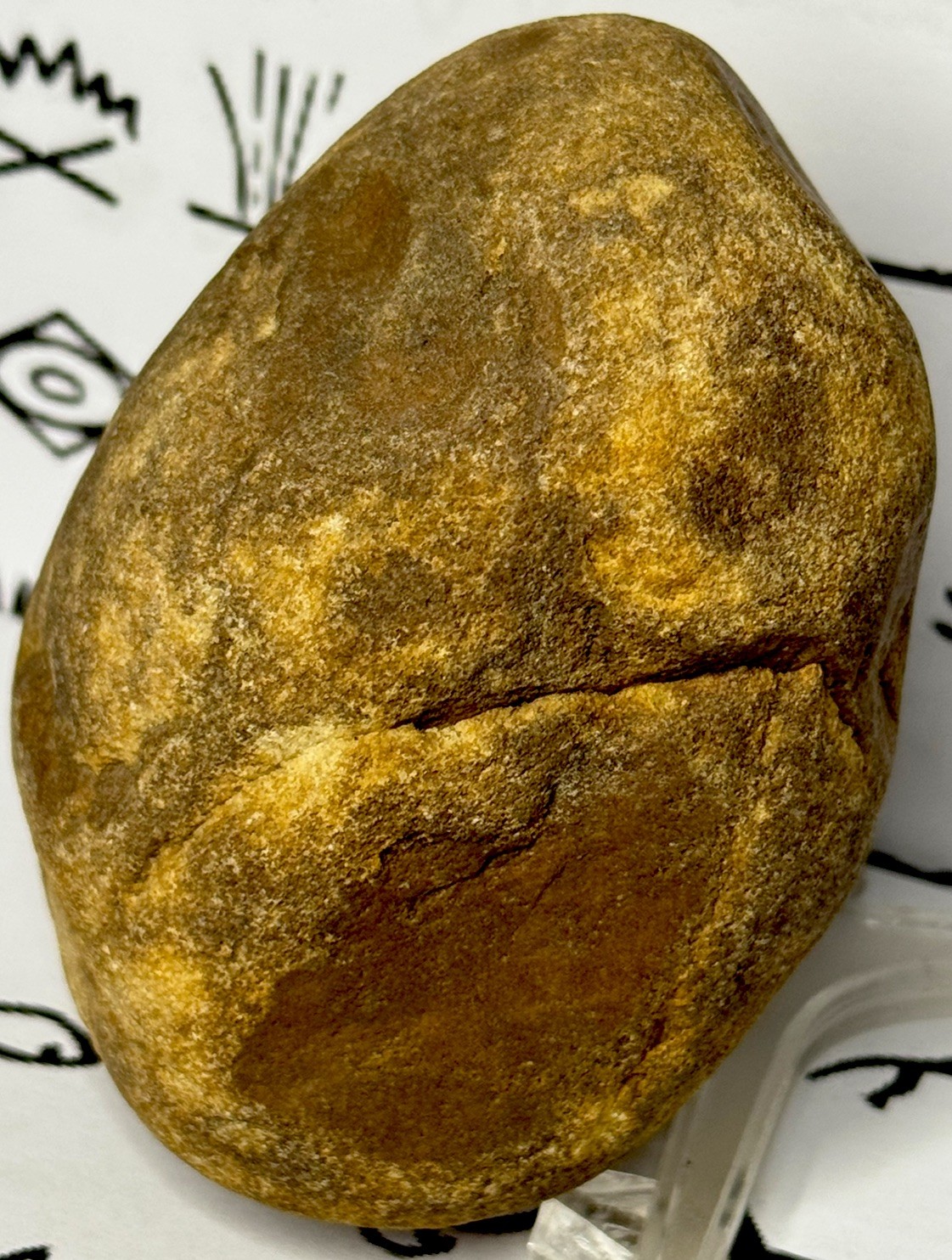 Native American Indian Authentic Artifact Stone Carved Effigy, 1 lb 10 oz • VA