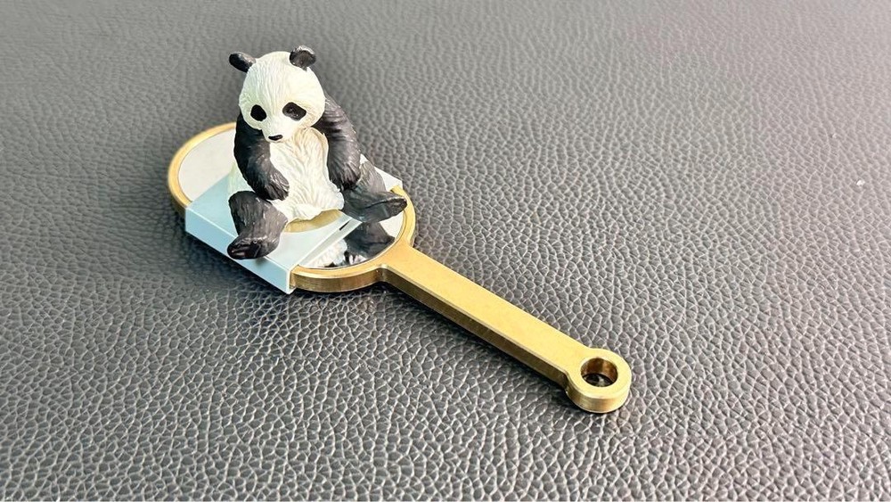 Tenyo magic tricksA636 paddle mirror