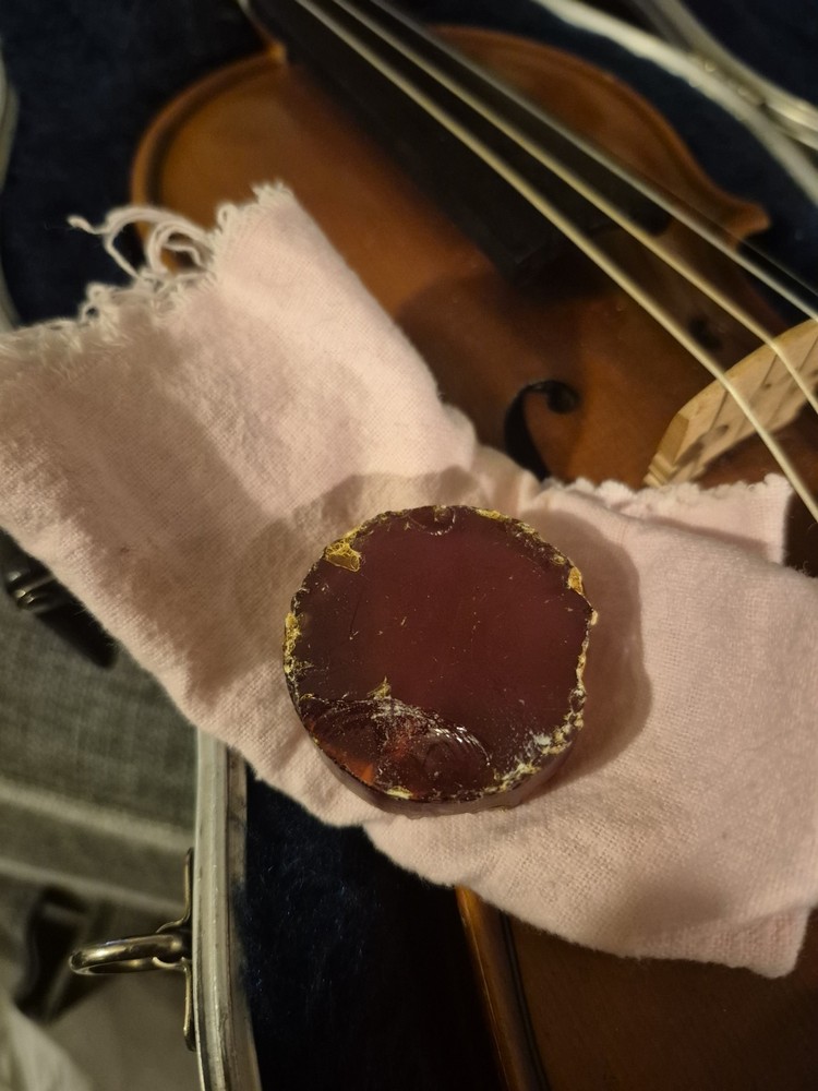 Violin SKB Case with Chin Rest