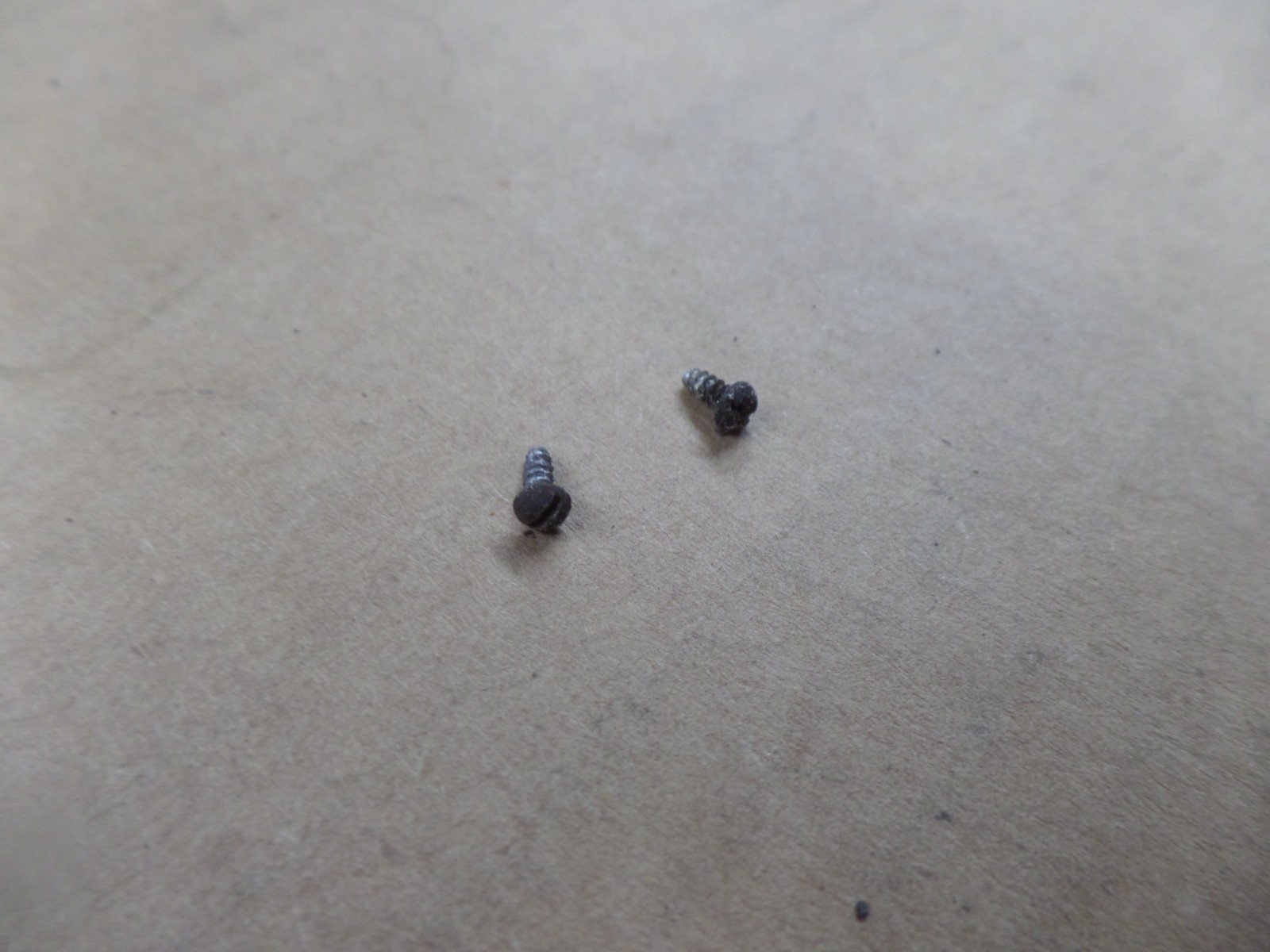 Vintage Schwinn Bicycle Head Badge | Rgh+