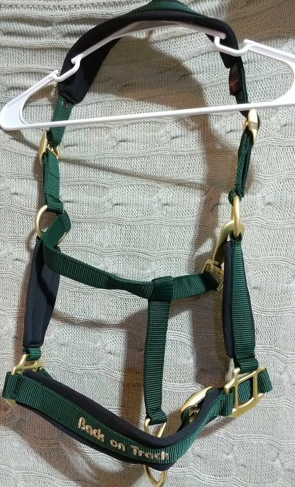 Back on Track Werano halter Green pony size (r)
